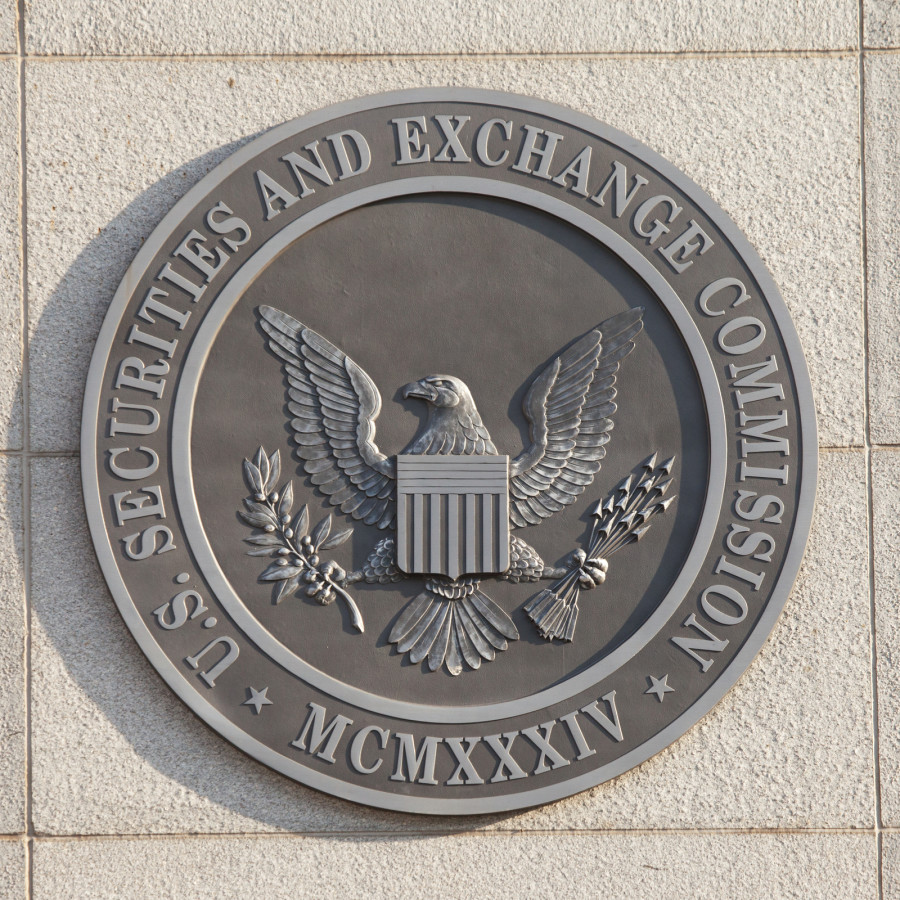 SEC暂停无收入无产品区块链公司交易