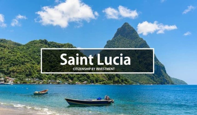 圣卢西亚公民身份的新投资费用（按投资）