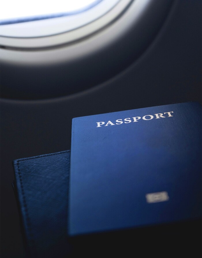 强大的全球移动护照：有哪些护照通过投资入籍获得？