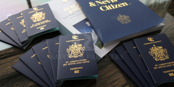 作为一个大家庭申请加勒比海护照，哪个划算？