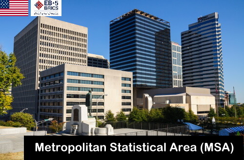 都市统计区（Metropolitan Statistical Area,MSA）