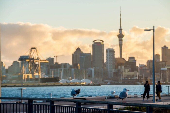 新西兰：超过3000份家庭游客签证申请数月未处理