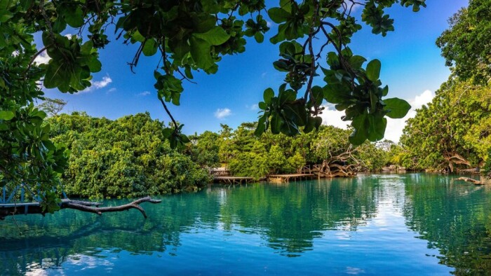 瓦努阿图群岛：关于这个拥有世界上最快公民身份计划的国家