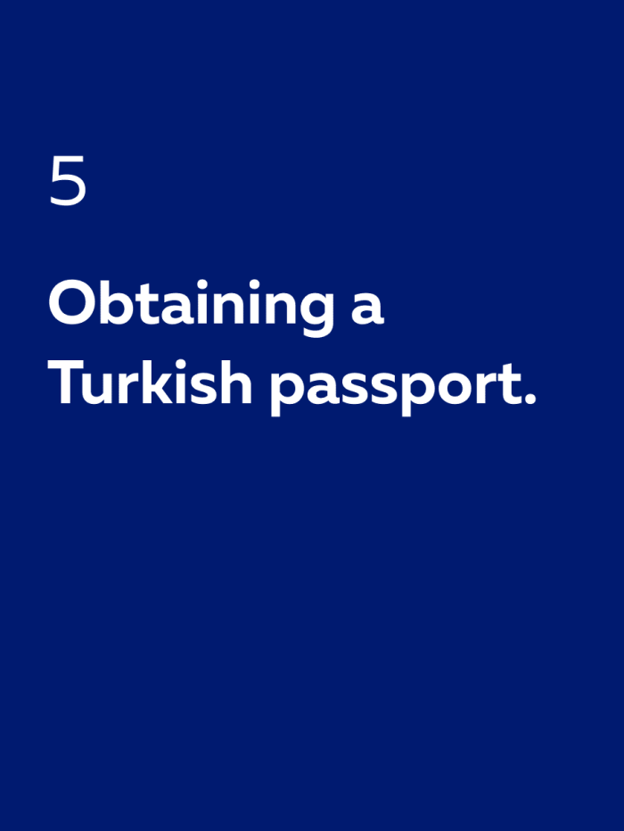 给予巴基斯坦公民土耳其护照？