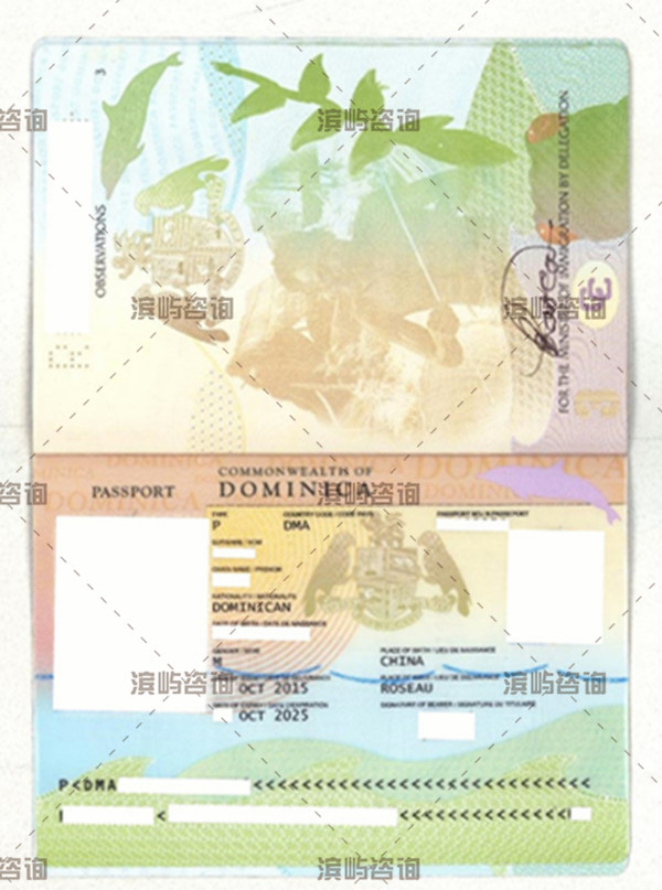 多米尼克护照成功案例:免签国家多,出入方便