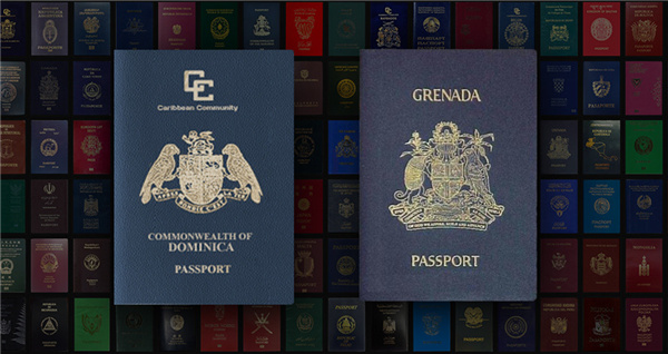 想要办理多米尼克的护照，那肯定是和移民挂钩的