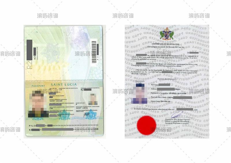 2020圣卢西亚护照成功案例:单人申请性价比之王