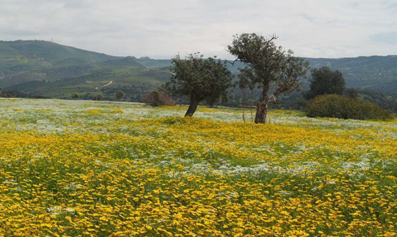塞浦路斯适合徒步的地方在哪里？接近大自然,吸收清新氧气                                 