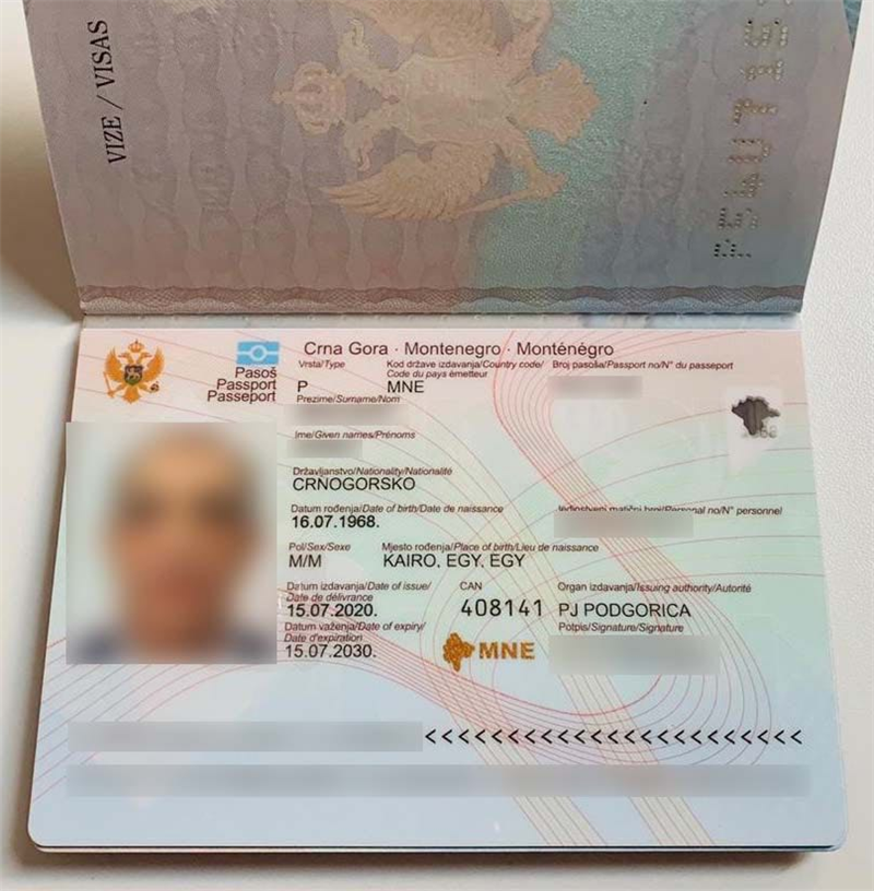 黑山护照成功案例