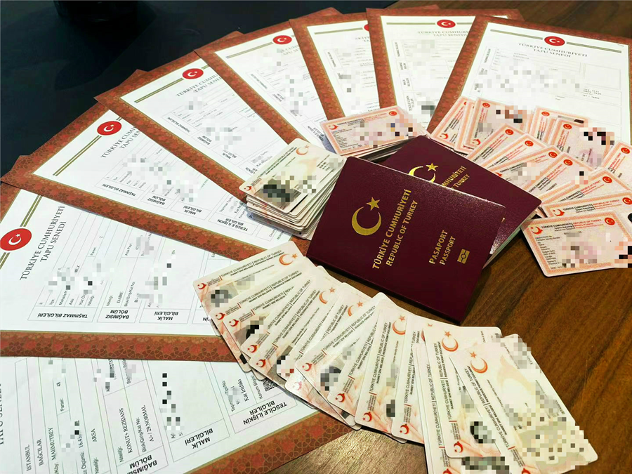 土耳其护照成功案例:团批