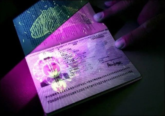 多米尼克护照正式推出电子生物芯片版本，提高安全性