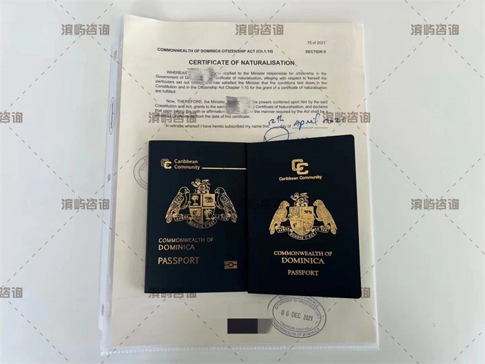 多米尼克护照更换成功案例：新版生物芯片护照