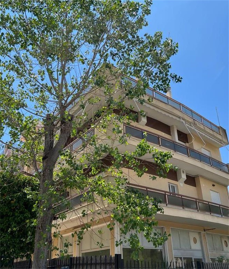 雅典房产:Agia Paraskevi国际学校附近三房两卫