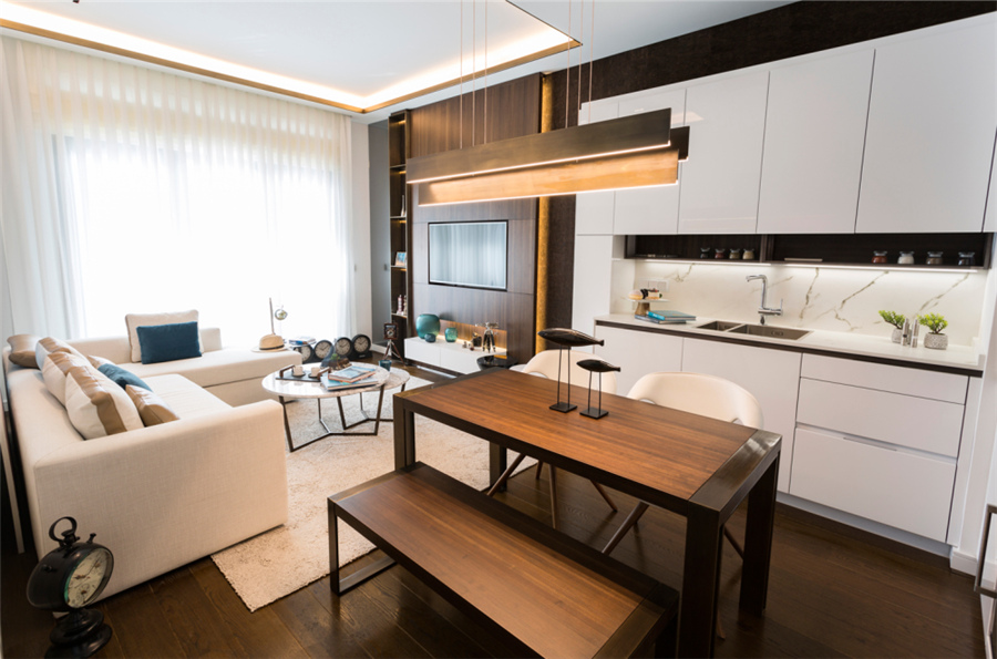 伊斯坦布尔房产：帕莎公寓Premium系列