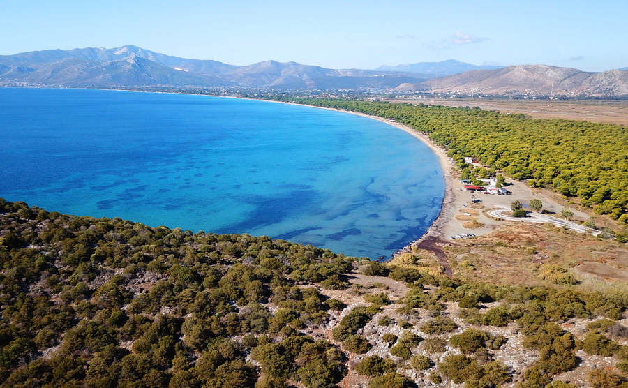 为什么会喜欢投资阿提卡雅典的东海岸？